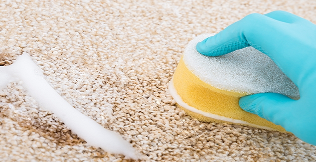 10 Powerful DIY Carpet Cleaning Tips For Tough Stains
