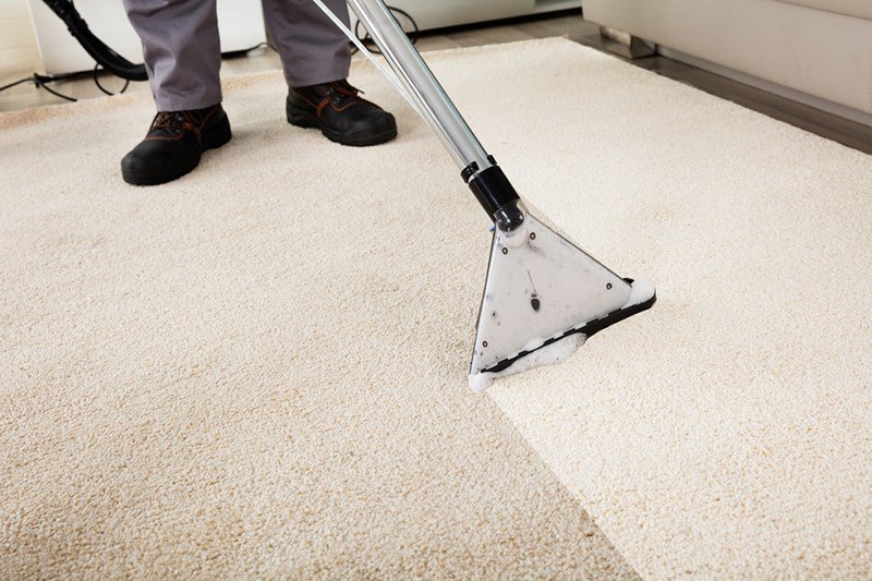 7 Easy Steps to Creating the Best Carpet Cleaning Solution
