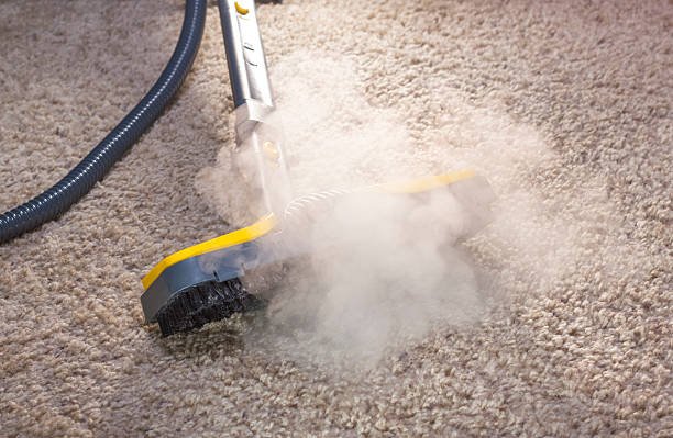 7 Expert Approaches Which Cleaning Is Best For Carpet